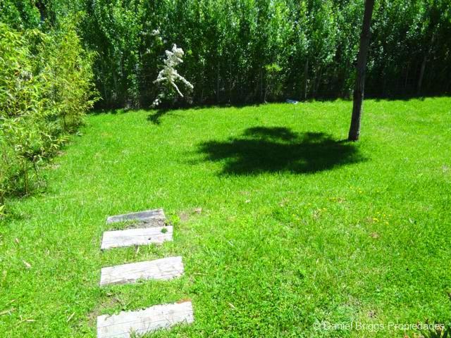 366_image_12.jpg